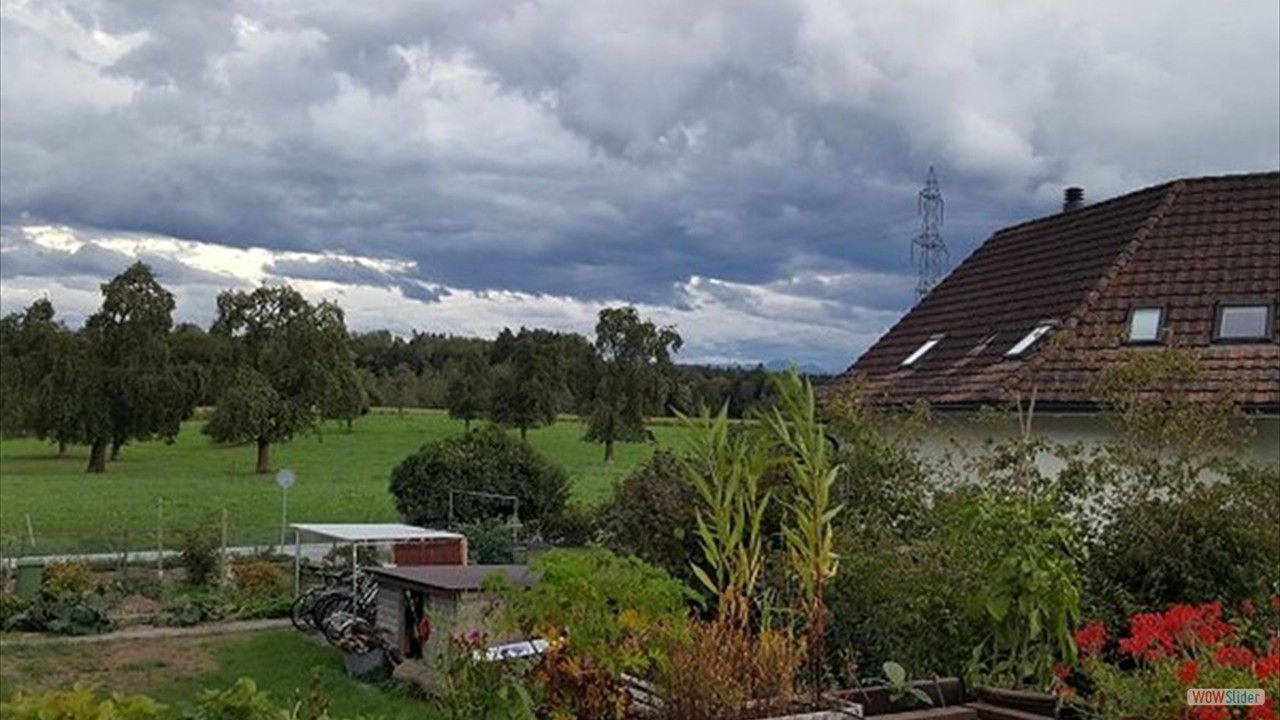 110grueningen