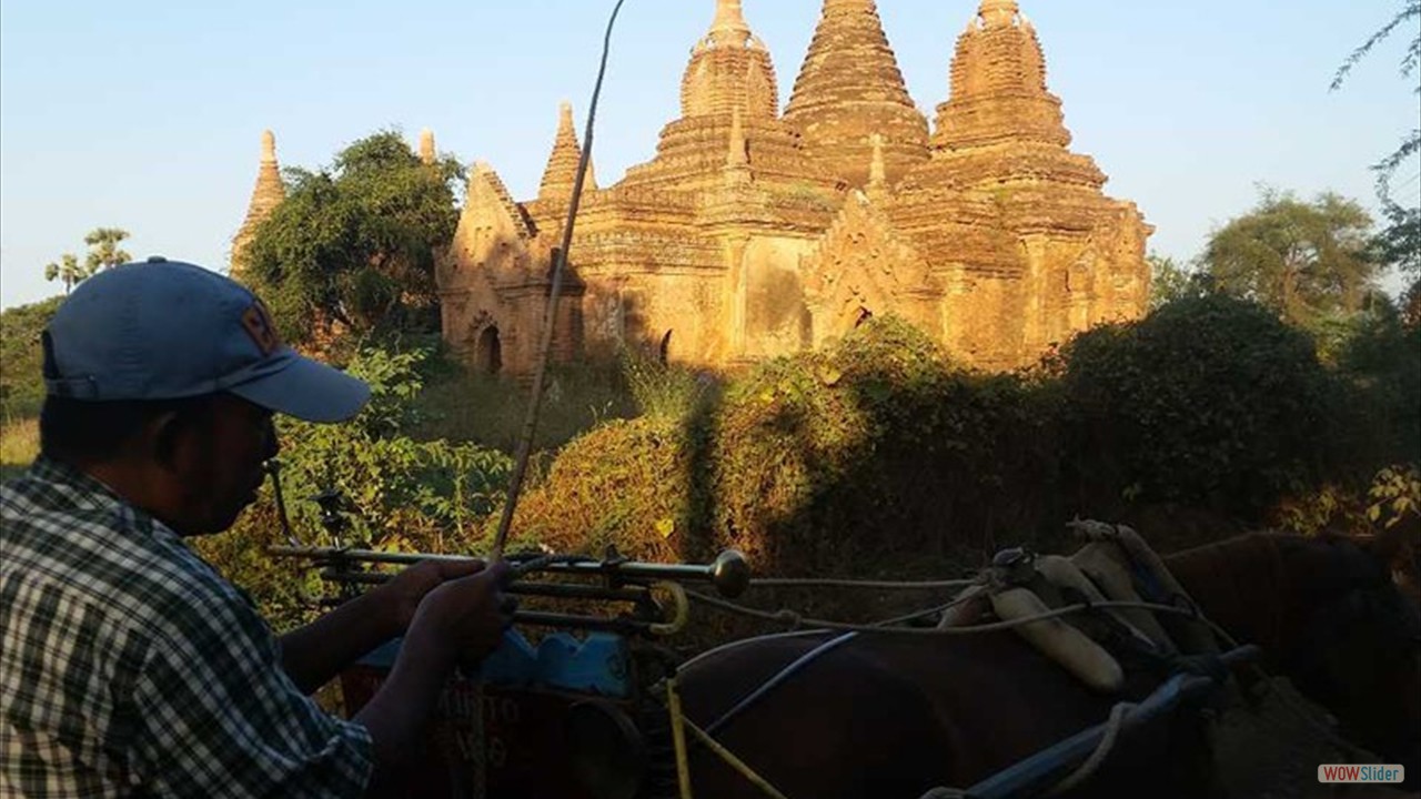 050burma