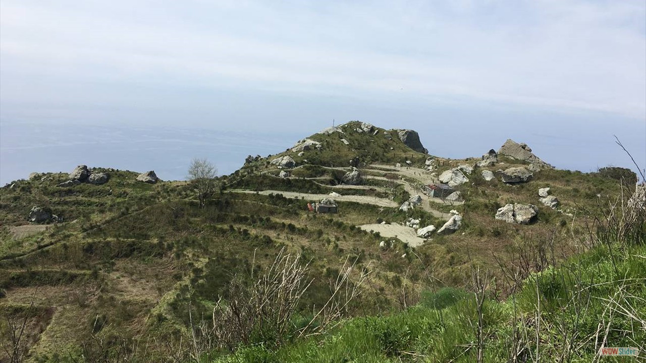 I2019IMG_1718