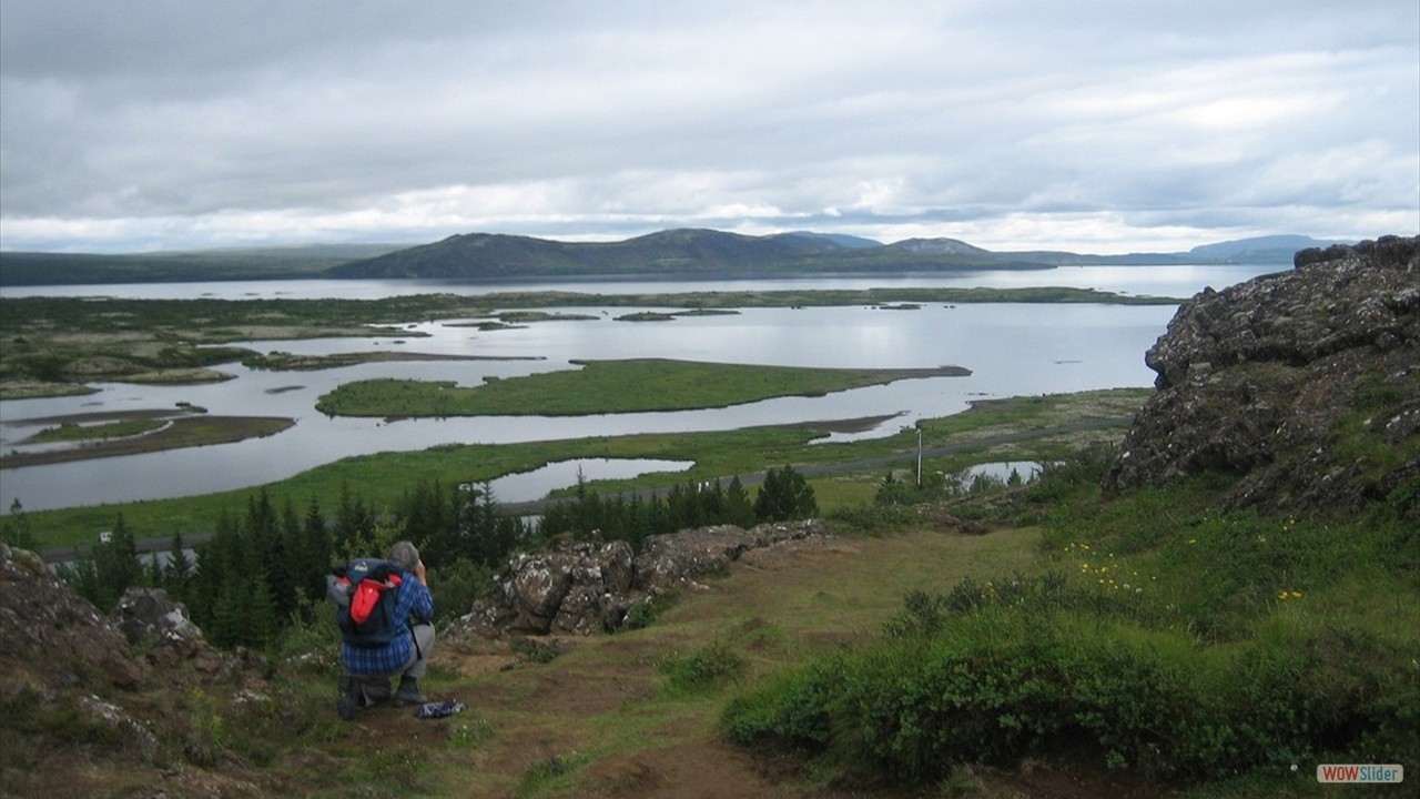 Island (15)