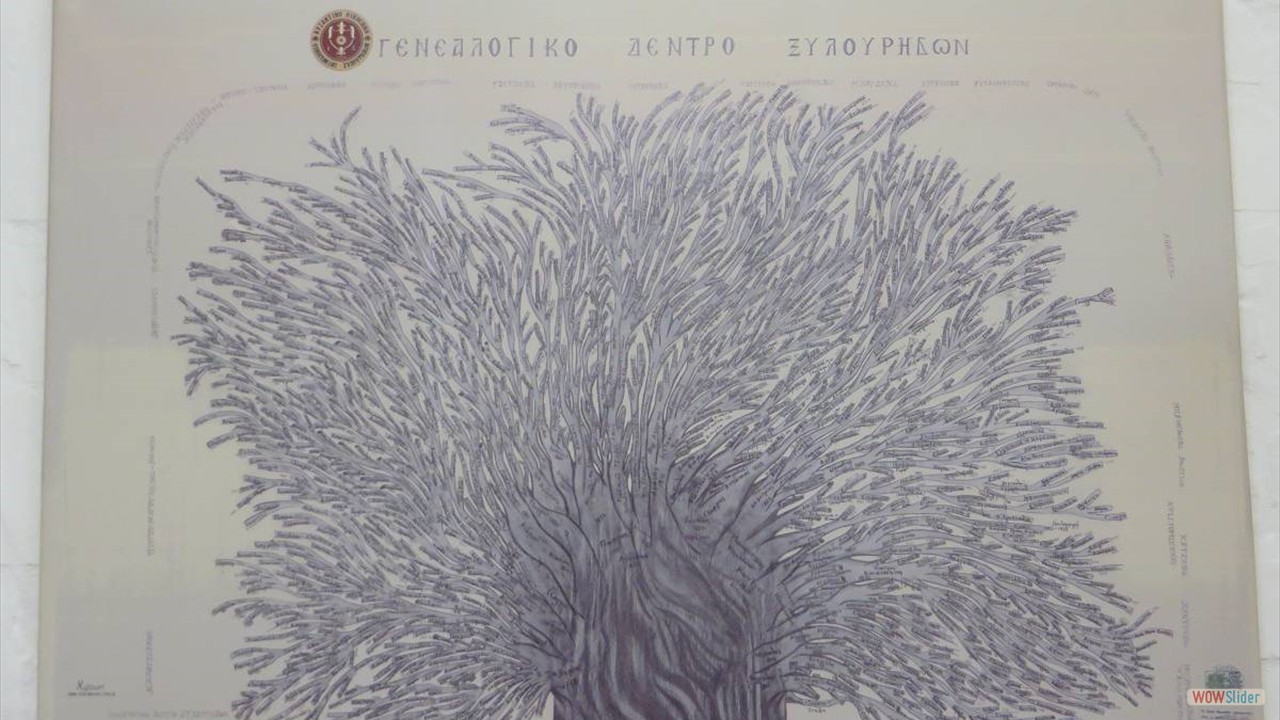 435Anogia