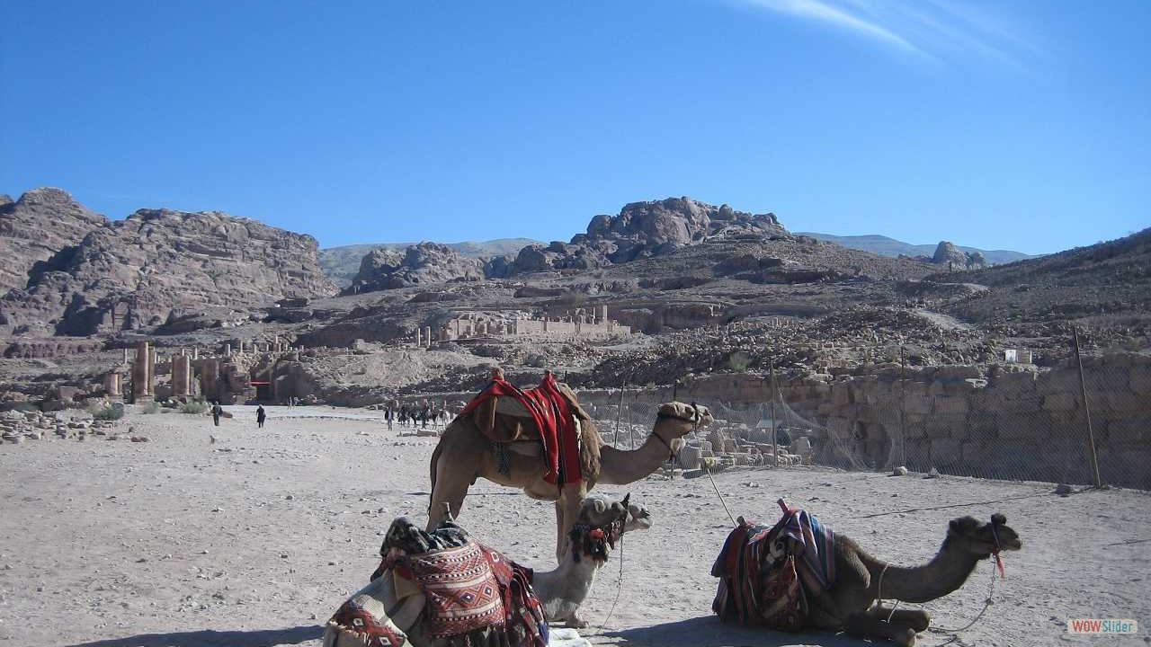 2Petra014