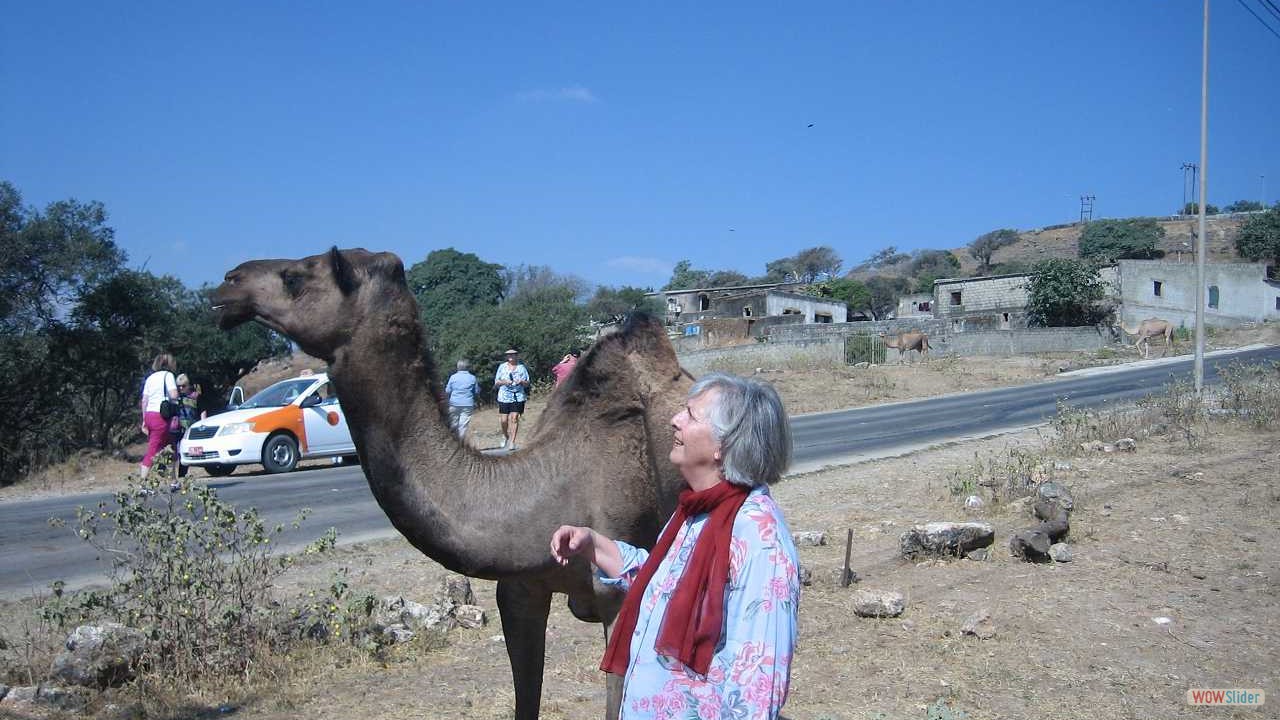3Salalah008