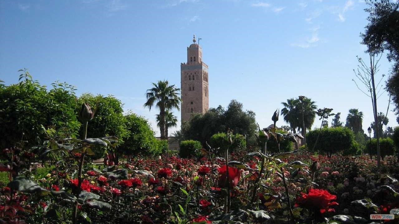 Maroc0006