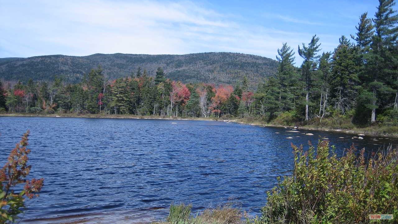New England (34)