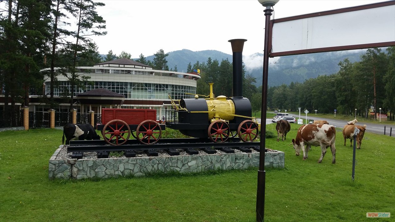Altai100