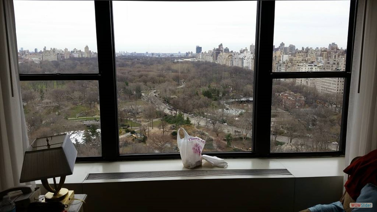 1New York (26)