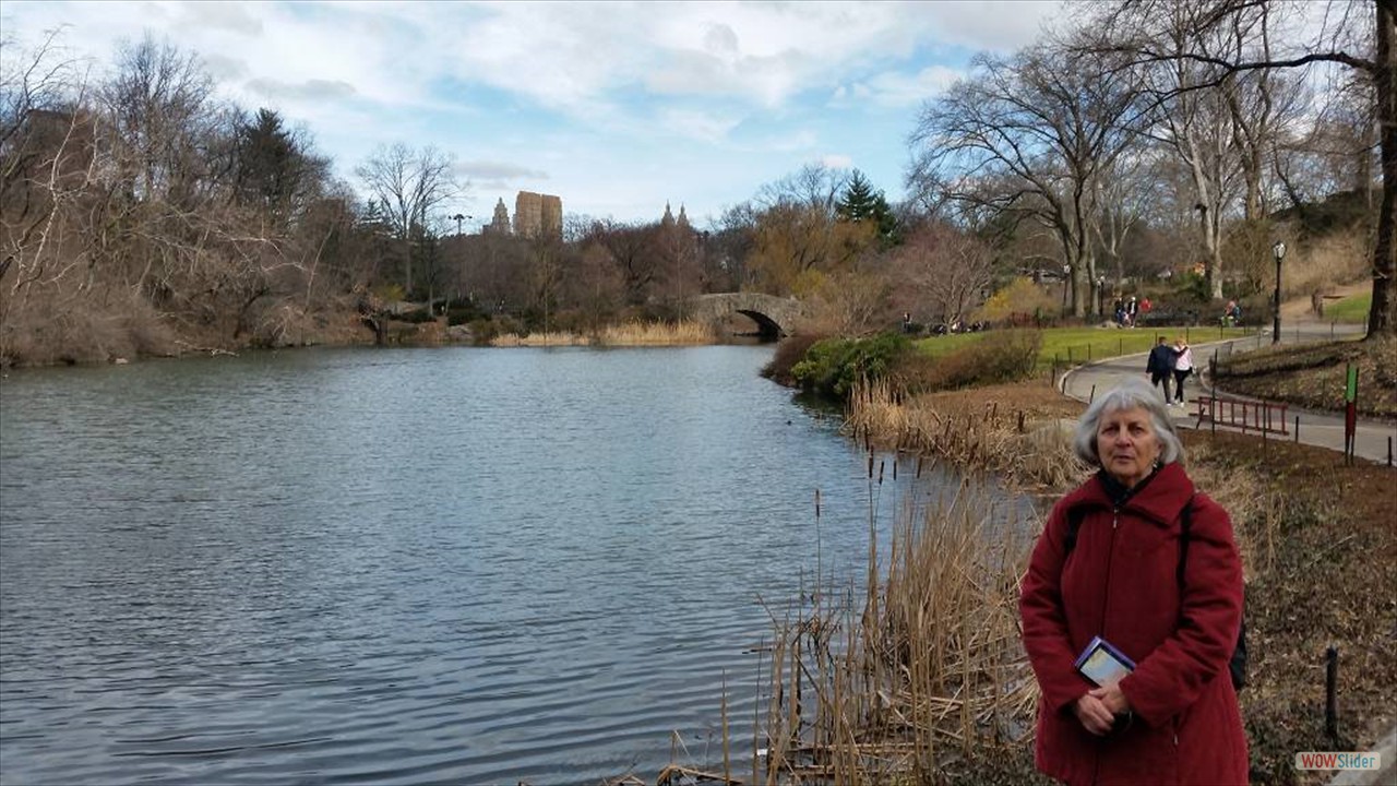 1New York (28)