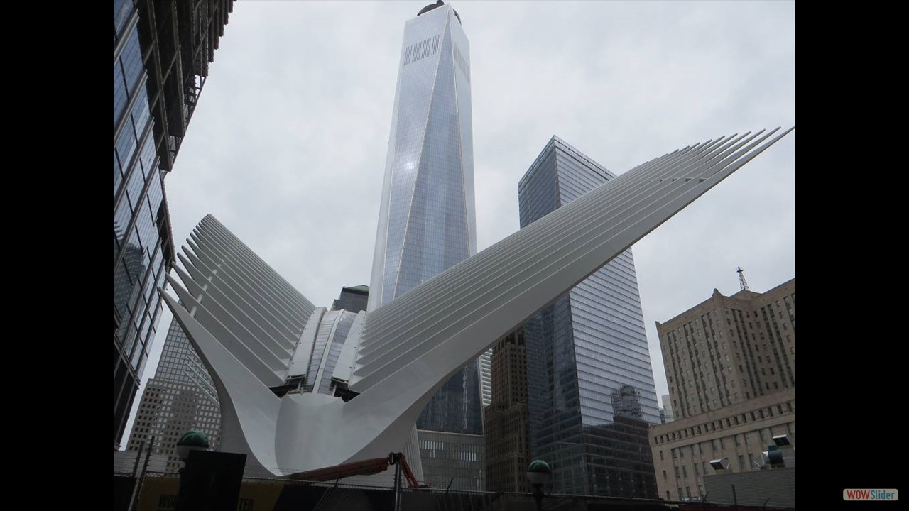 1New York (40)