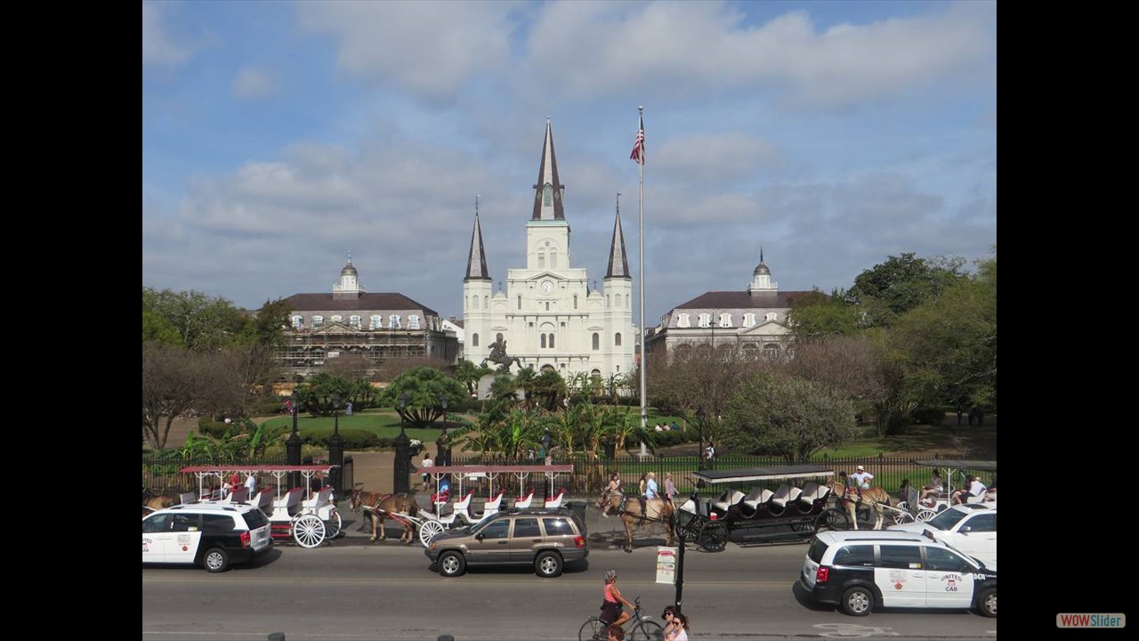 2New Orleans (21)