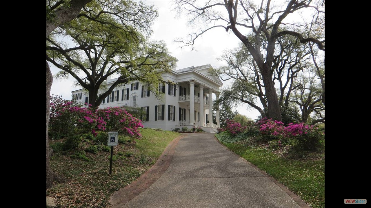 3Natchez (6)