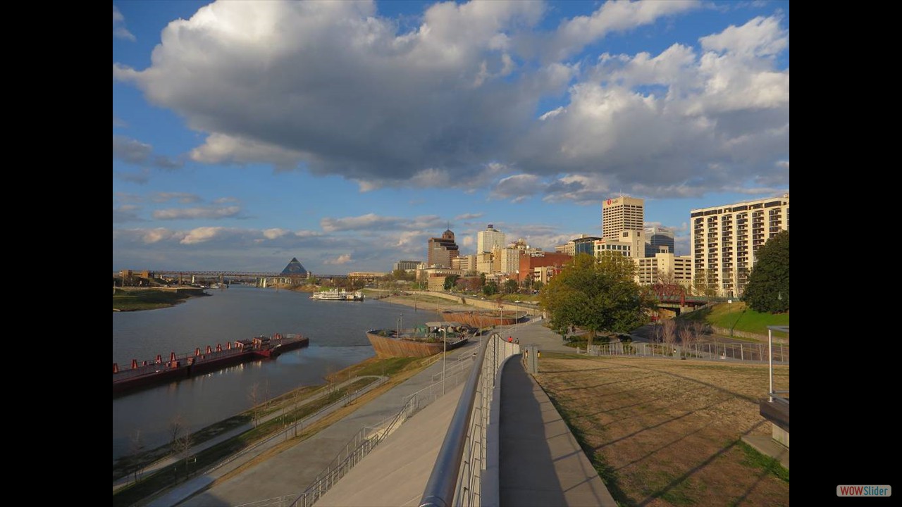 6Nashville (9)