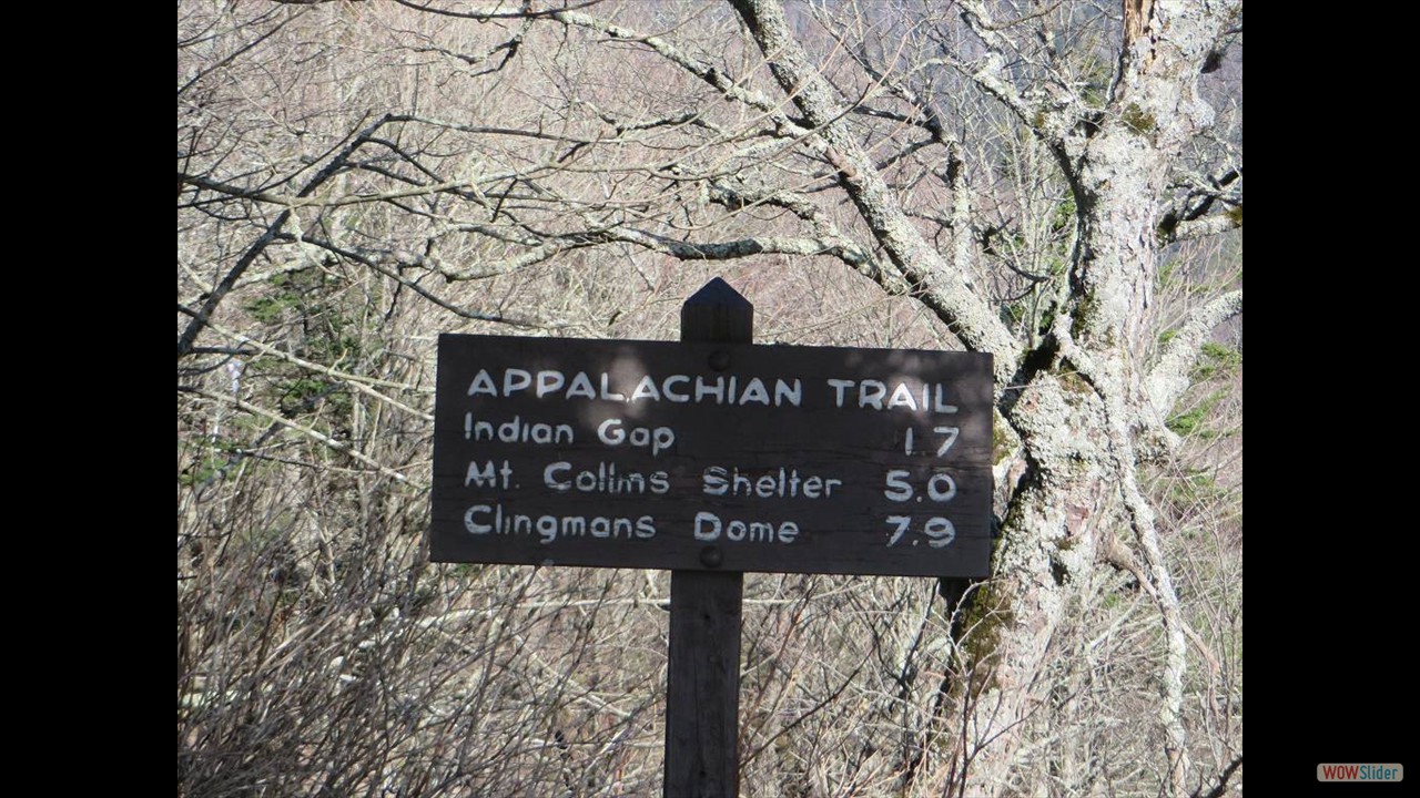 8Gatlinburg (3)