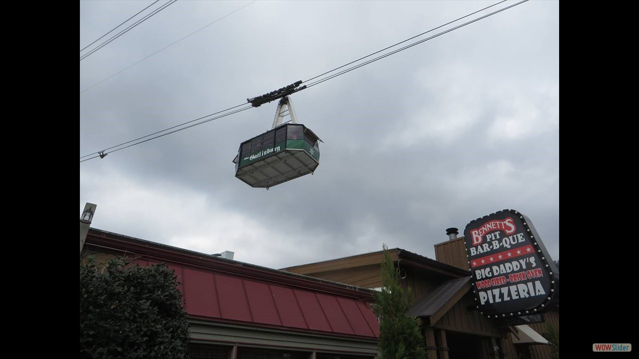 8Gatlinburg (4)