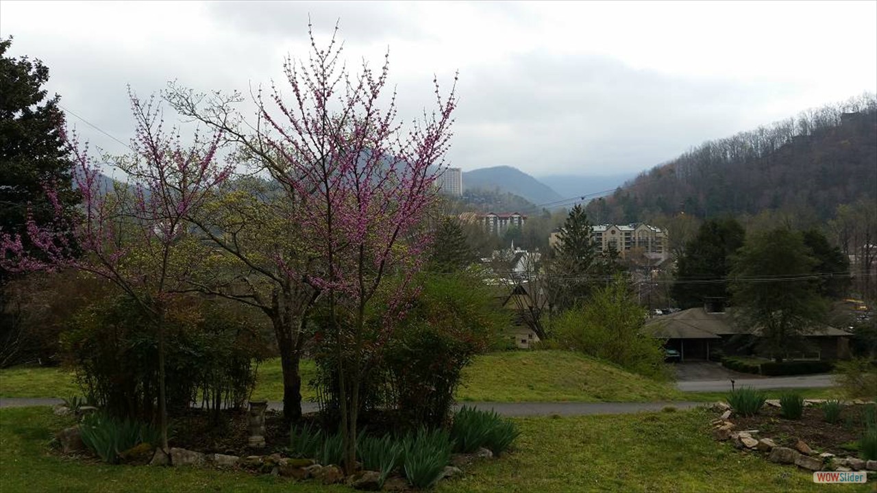 8Gatlinburg (5)