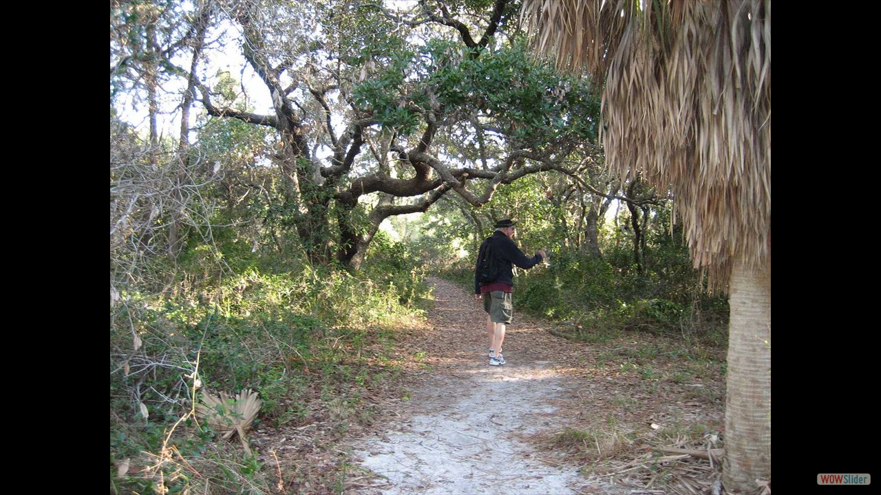 11e Cedar Key
