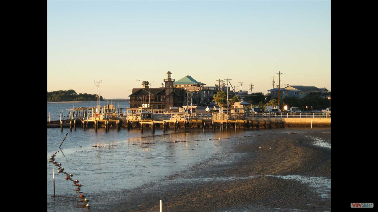 11q Cedar Key