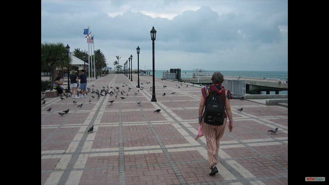 13m Key West