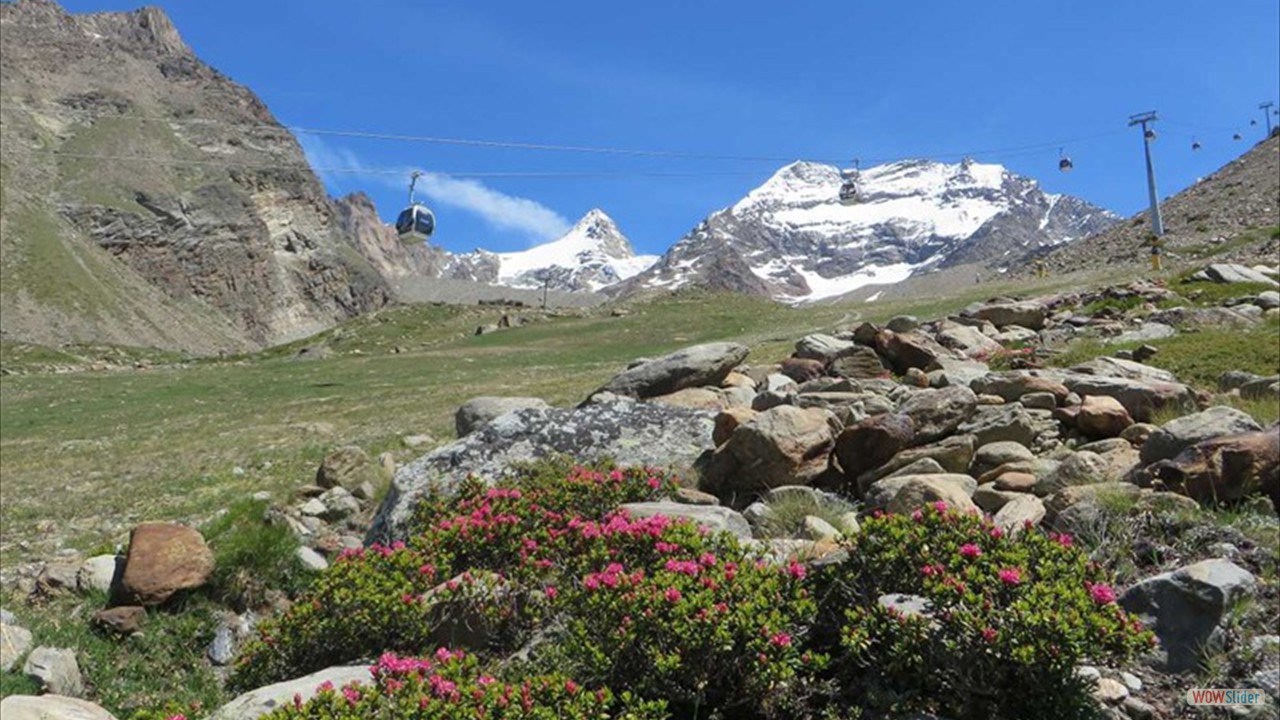 saasfee005